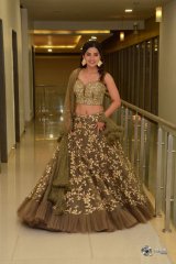 Kashmira at Nartanasala Pre Release Event